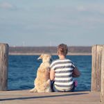 finja_goldi_therapiehund - @rotheviola - Instagram