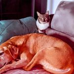 Viola Roth - @violaroth1966 - Instagram