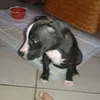 Viola _Salerno  - @viola_salerno - TikTok