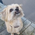 Viola Sanders - @viola030310 - Instagram
