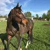 Viola Sauer823 - @violasauer823 - TikTok