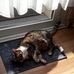Viola Schäfer - Facebook