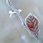Viola'sRandomStuff - @viola_schafer3 - Instagram