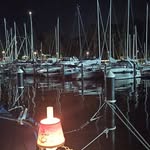 Viola Schenk - @schenk.viola - Instagram