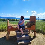 Viola Schenk - @schenk_viola - Instagram