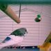 Viola Schultz - Facebook