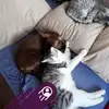 Viola Schulze - @viola.schulze5 - TikTok