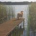 Viola Schuster - Facebook