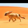 Viola - @viola_schwarz - TikTok