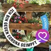 Viola Steinborn - @violasteinborn - TikTok