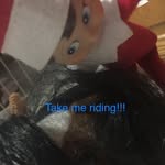 Violet Tillman - @elfie_is_awesome - Instagram