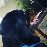 Viola Wendye Washam-Turner - @therealkingapollozeusturner - Instagram
