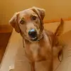 Viola Gupton - @viola.gupton5 - TikTok