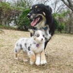 Archer + Violet - @archerandviolet - Instagram