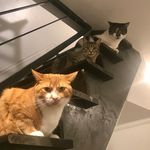 Archer & Violet & Ruby - @archer_n_violet_n_ruby - Instagram