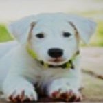 Violet Carter - @violetcarter633 - Instagram