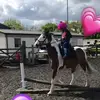 Violet Chambers - @violet.chambers67 - TikTok