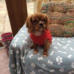 Violet Connellan - @violet.connellan.7 - Instagram