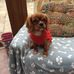 Violet Connellan - Facebook