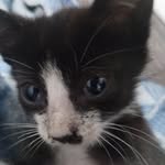 Violet Conner - @whimsicallywovenshop - Instagram