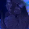 Violet Cote119 - @violetcote119 - TikTok