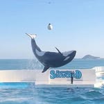 @violet_cotton_ycu - Instagram