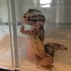violetcotton - @violetcotton - TikTok