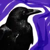 Violetcrow - @violetcrow2727 - TikTok