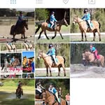 @violet_crumbles_ - Instagram