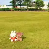 violet_crumbs - @violet_crumbs - TikTok