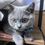 の - @violet.curry0207 - Instagram