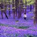 Violet Curtis - Facebook