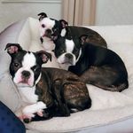 Violet, Dahlia & Marigold 💜💖💛 - @violet.dahlia.and.marigold - Instagram