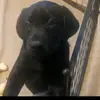 violet - @violetdale00 - TikTok