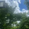 violetdaniel22 - @violet.daniel14 - TikTok