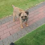 Violet Davidson - @violet.davidson.771 - Instagram
