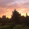 Violet - @violetdavies2 - TikTok