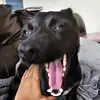 Violeta Davila - @violeta.davila32 - TikTok