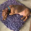 Diamondviolets - @diamondviolets - TikTok