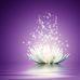 Violet Diamond - Facebook