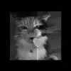 rubyvioletegan - @rubyvioletegan - TikTok