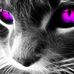 Violet Feldman - Facebook