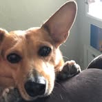 Violet Fitzgerald - Facebook