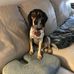 Violet Forrest - Facebook