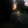 Violet Gardner - @violet.gardner6 - TikTok