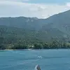 Violet Griffiths - @violet.griffiths1 - TikTok