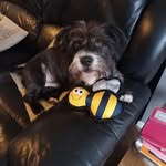 Violet Hammond - @vi_8_8_8 - Instagram