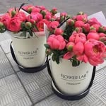 Violet Ibrahim - @violet.ibrahim.77 - Instagram