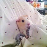 Violet Kurtz - @life_live_and_happieness - Instagram