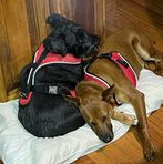 Violet Kurtz - Facebook